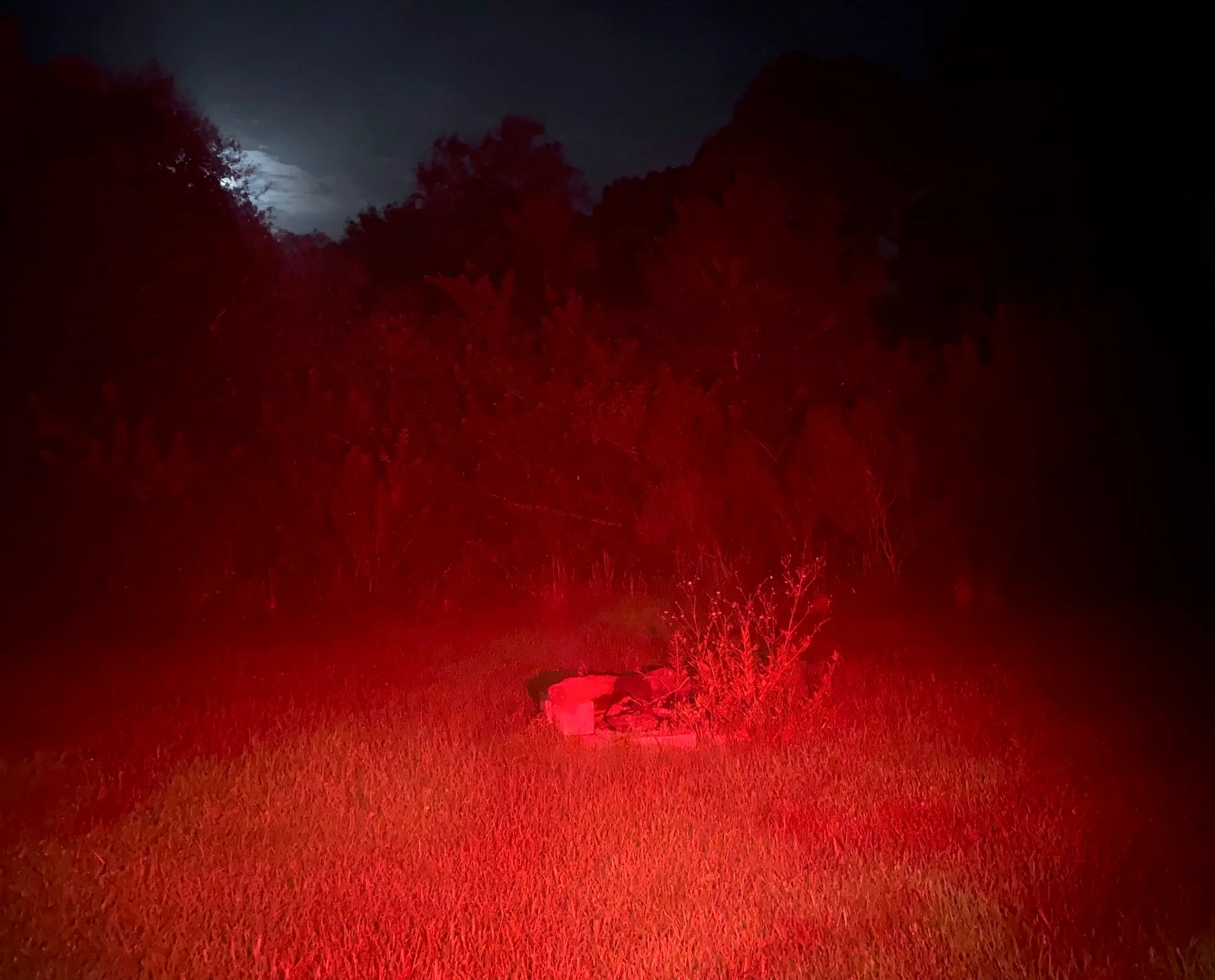 2 Inch Red Predator Hunting LED Pod Light - Pro Series 3.0 | Diffused (12W) - Image 3