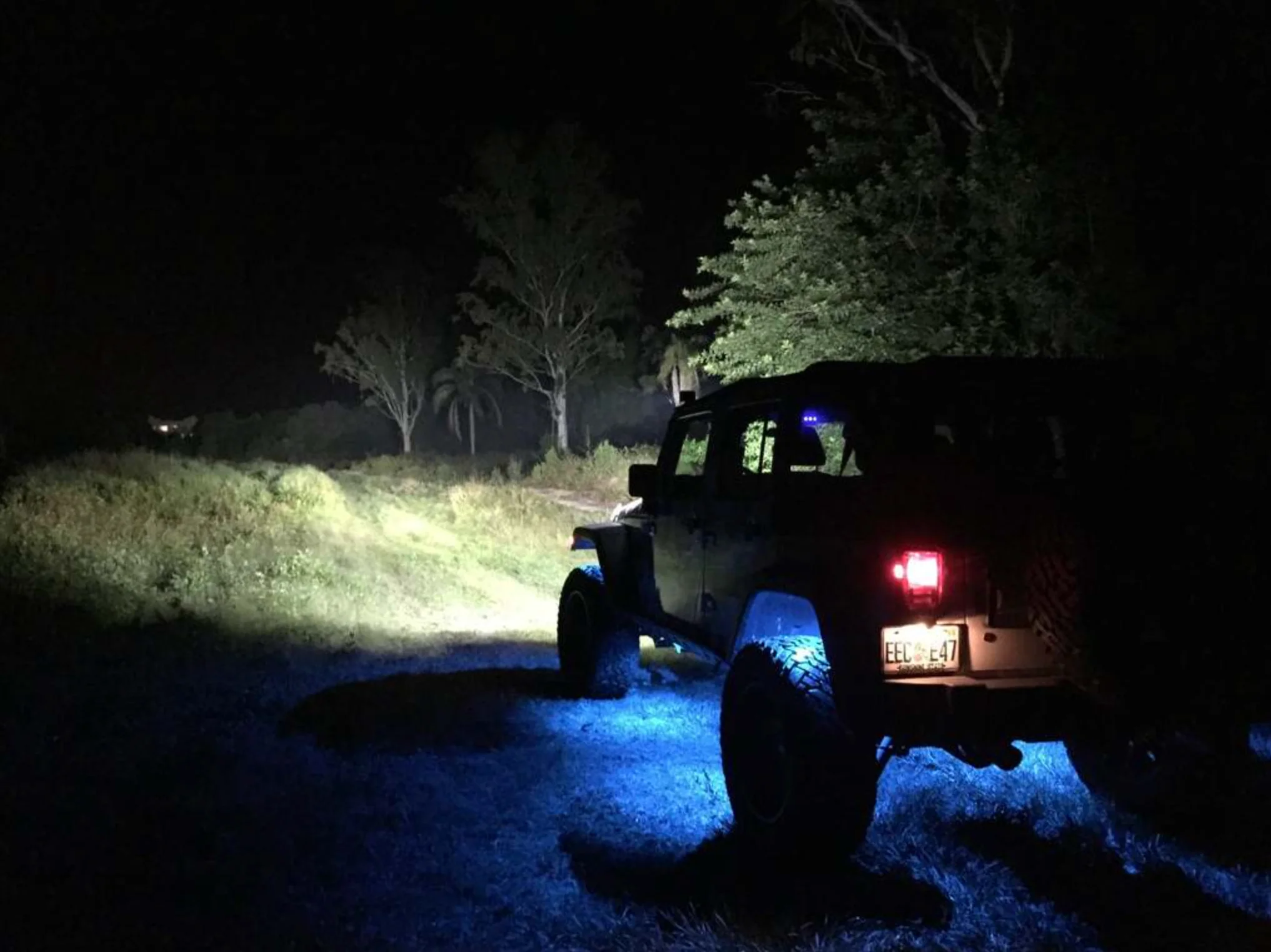 Blue LED Rock Lights - Image 2